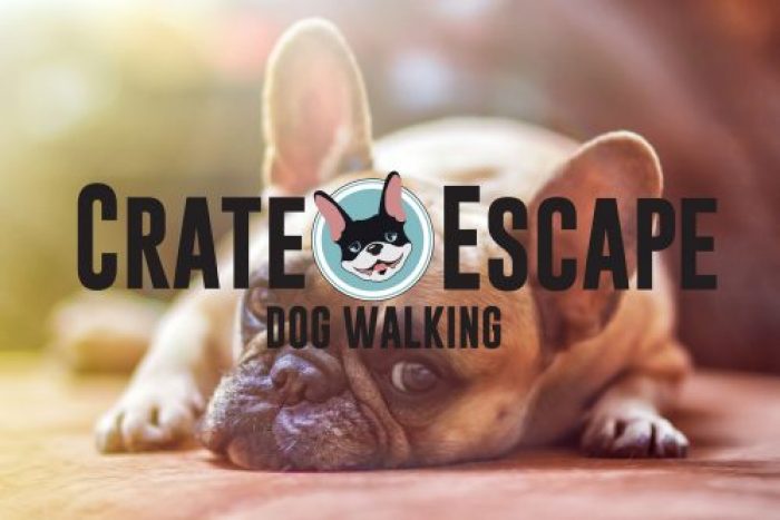 Crate Escape Dog Walking